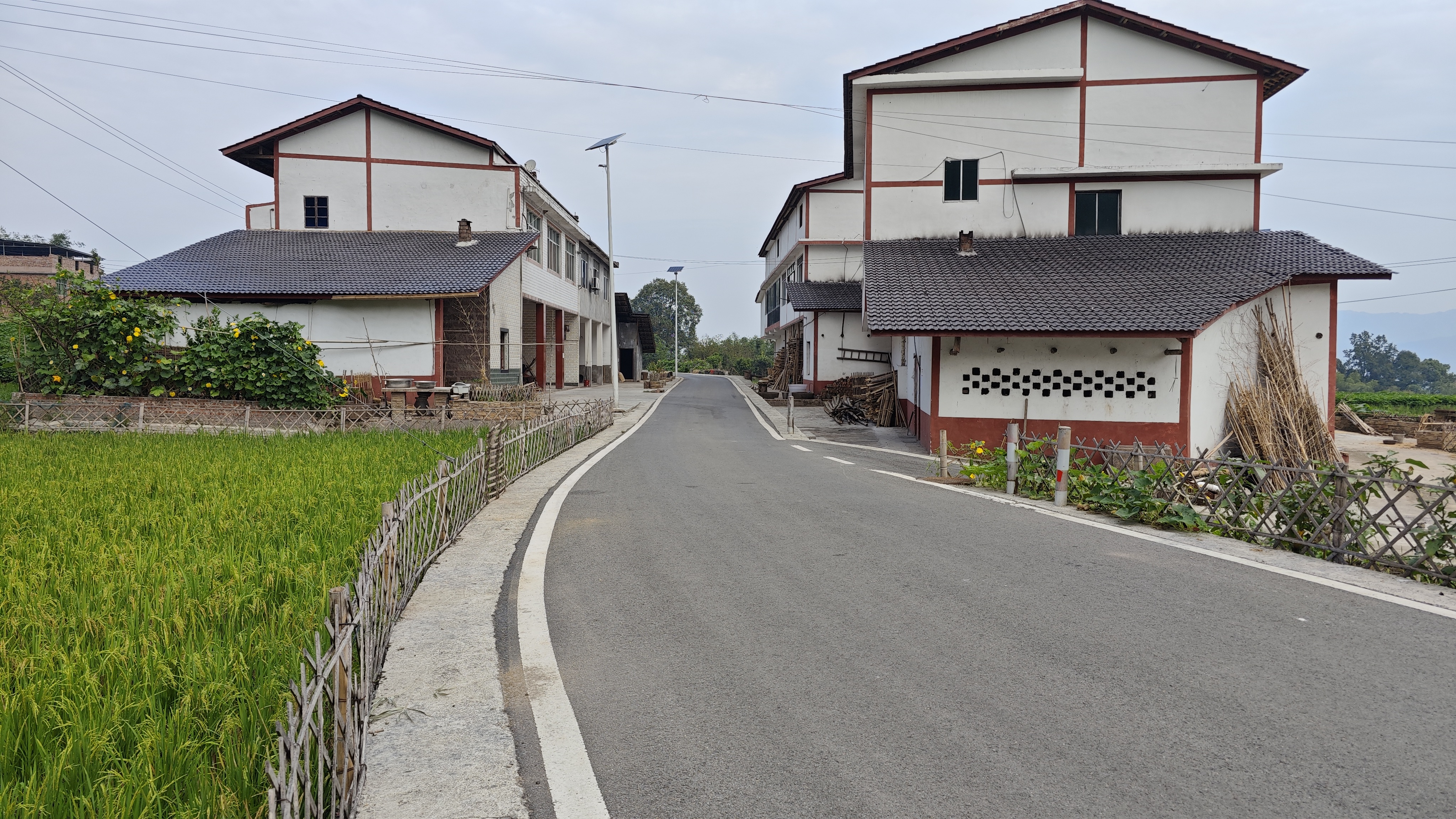 在赤水市白云乡白云村，村里环境优美，村民生活甜。（张浪摄） (1).jpg