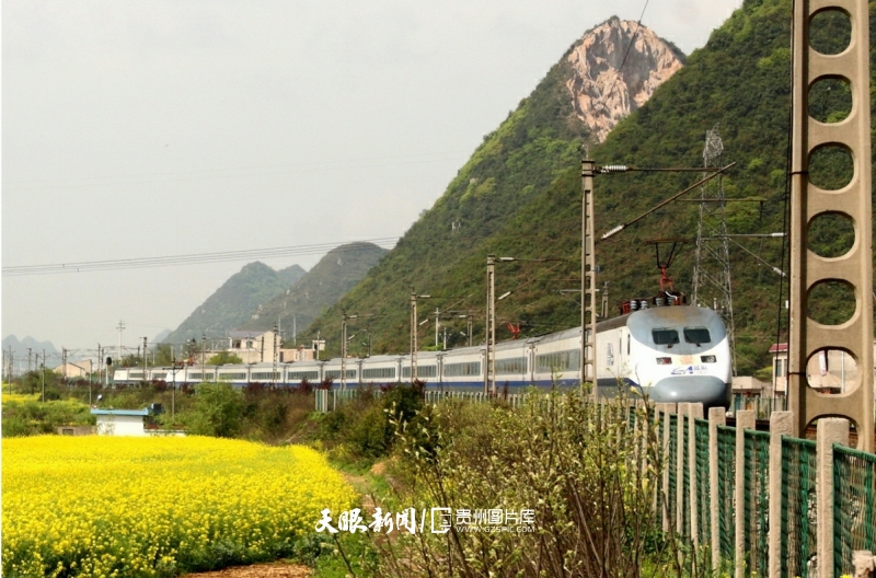 2012年4月10日，在贵州省安顺市市郊，一列“蓝箭号”快速动车组正行驶在铁路线上。（张贵忠 摄）.jpg