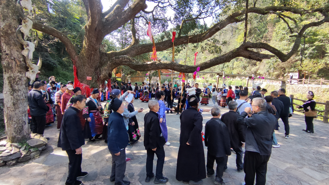 黔东南州台江县台拱街道红阳村开展活动。.jpg