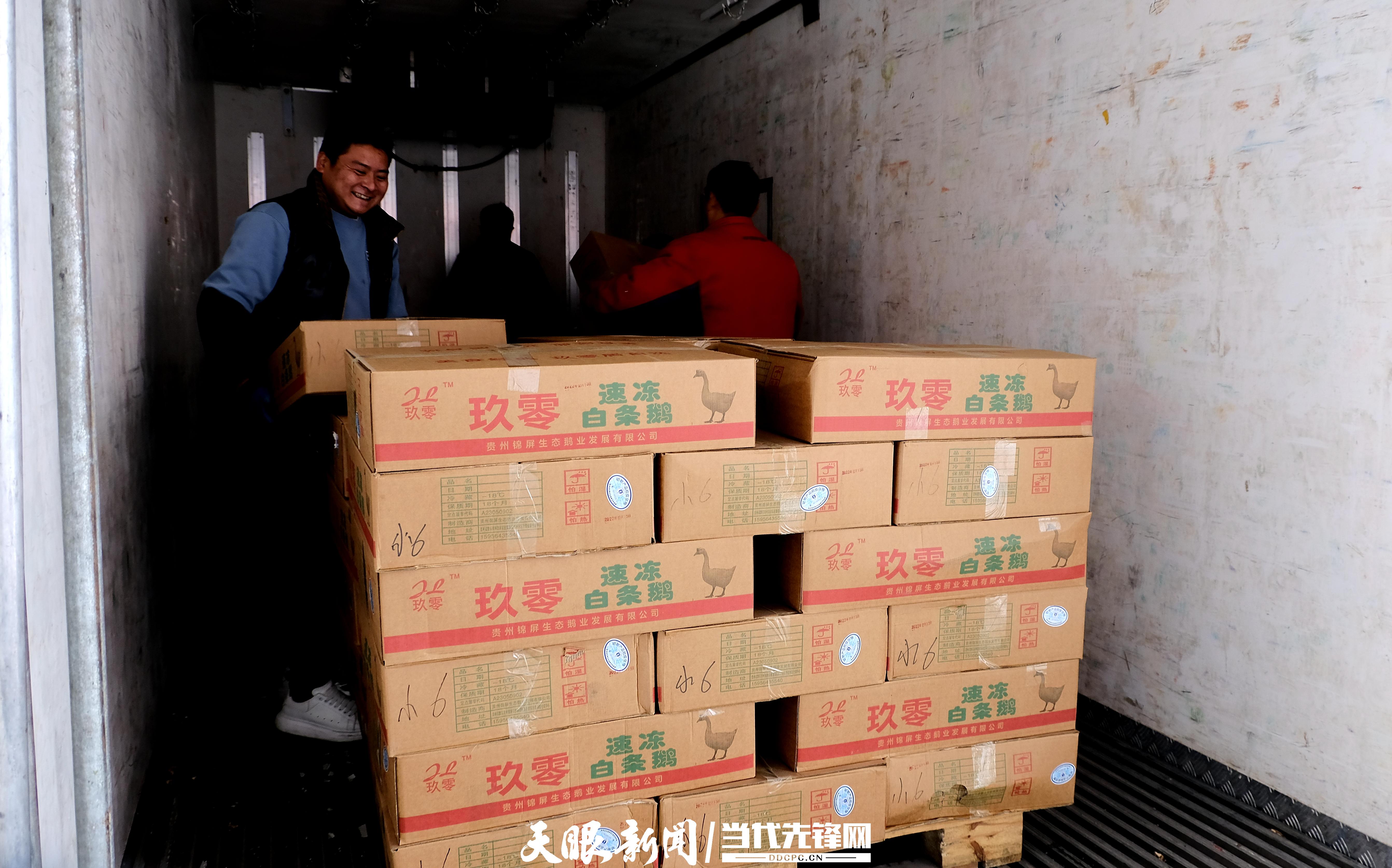 在贵州锦屏经开区的贵州贵鹅食品有限责任公司处，经过精加工后的速冻白条鹅正在搬运进大卡车，发往江浙等地区。吴运镇摄.JPG