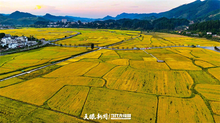 金海雪山风景 贵定县融媒体中心供.jpg