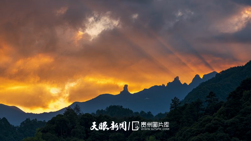 梵净山朝霞。伍卫东 摄.jpg