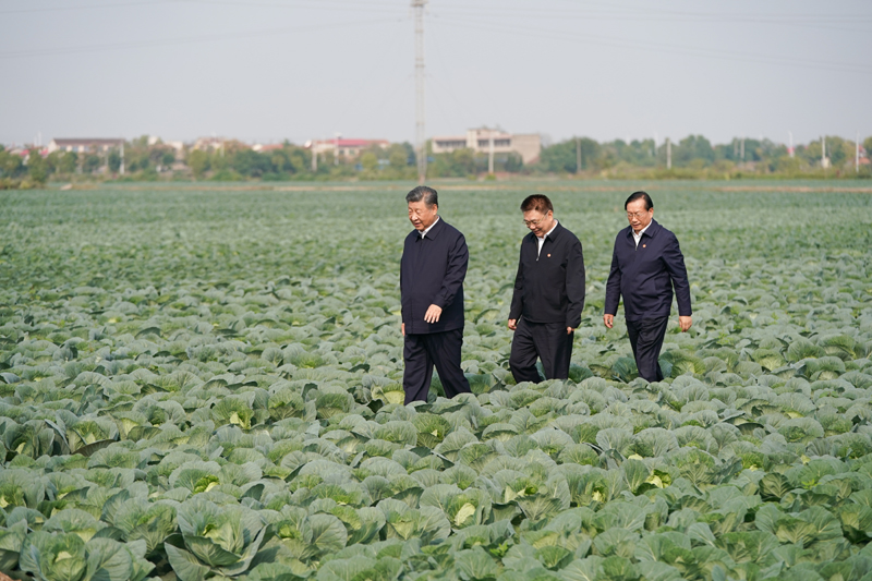 2024年11月5日，习近平总书记在湖北嘉鱼潘家湾镇十里蔬菜长廊考察。