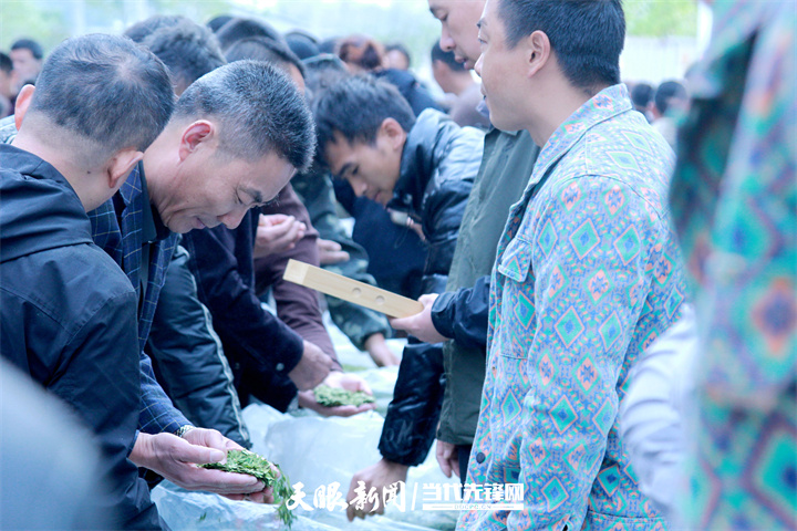 2月22日，中国早茶交易中心内，各地茶商正在挑选抢购新鲜出炉的春茶干茶。.jpg