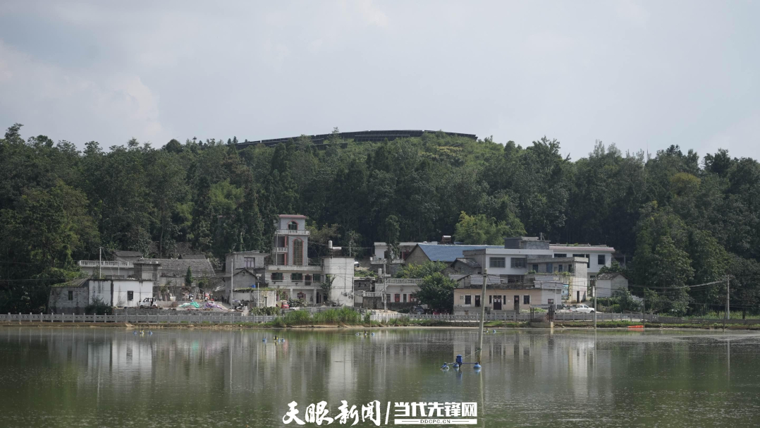 沙坑组淡水鱼养殖基地。.jpg