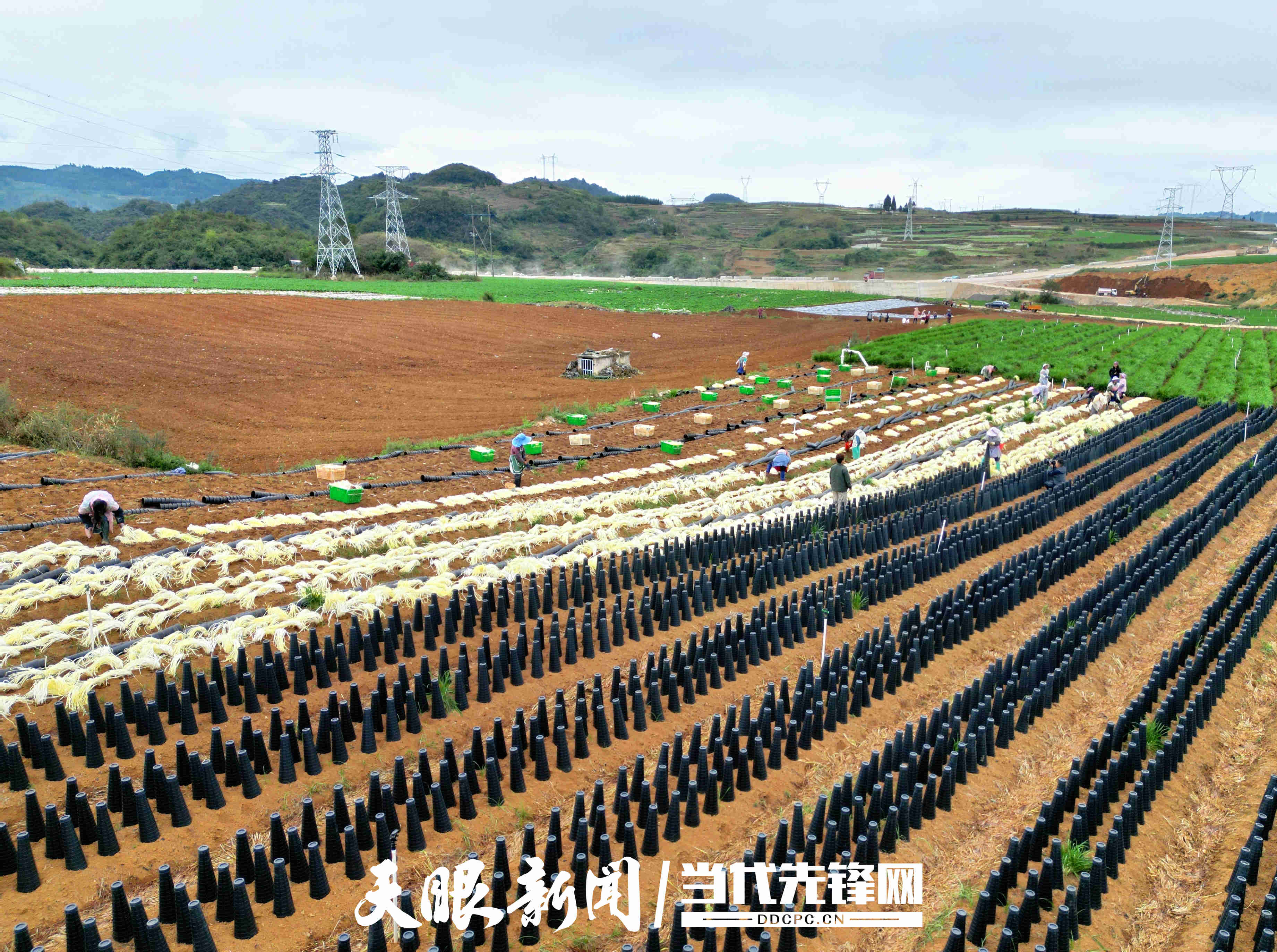 微信图片_20251013131615_1072_54.jpg