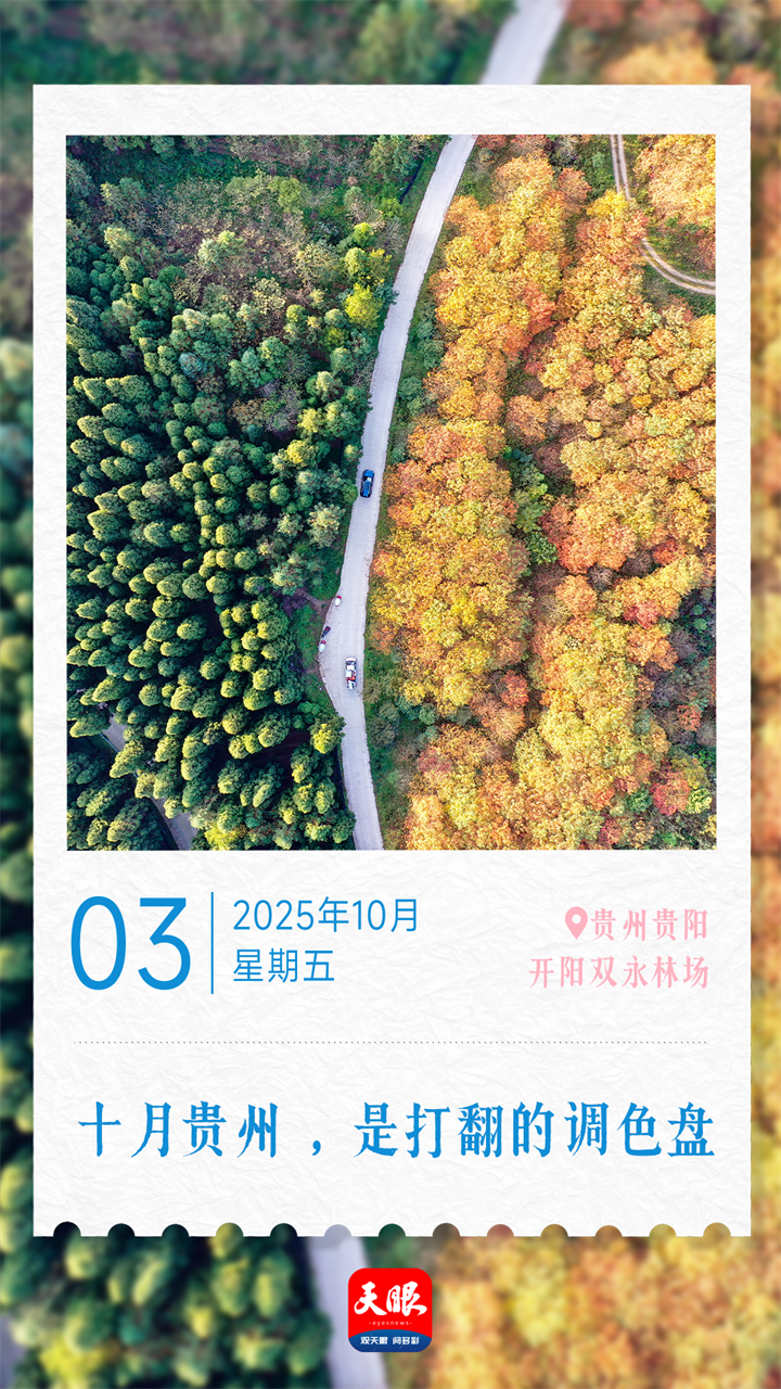 9比16.png