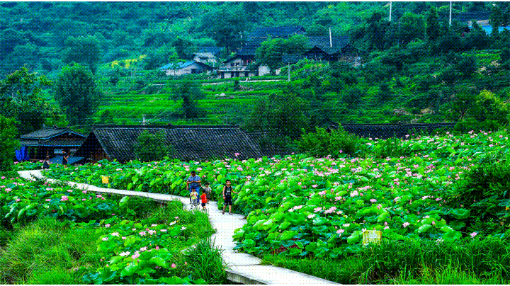 dD0xNzYzNjAyNDU0X3I9M2YzODY3OTY=.gif 10.gif