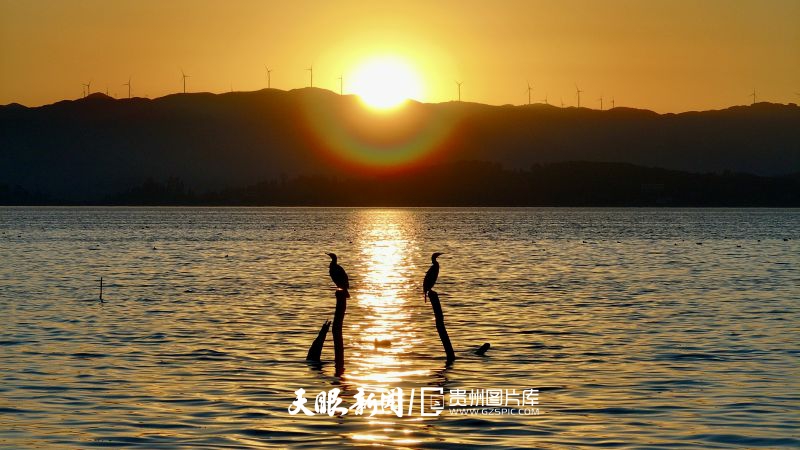 草海的傍晚,觅食的鸟儿在草海上休息。袁德志 摄.jpg