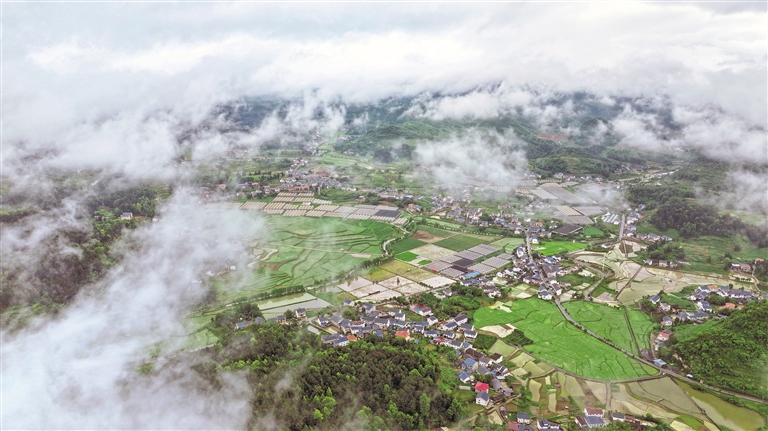 17500283784098.jpg 542eba11-ddcb-4955-ab66-2b7da2c5b02a.jpg.jpg