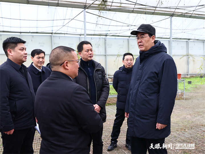 图为李炳军在惠水县涟江坝区花卉苗木种植基地，实地察看腾退恢复耕地综合治理情况。.jpg