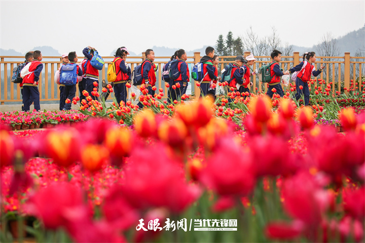 小朋友在贵州省贵阳市乌当区羊昌镇花画小镇景区参加研学活动。贵州日报天眼新闻记者 王纯亮摄 (1).jpg