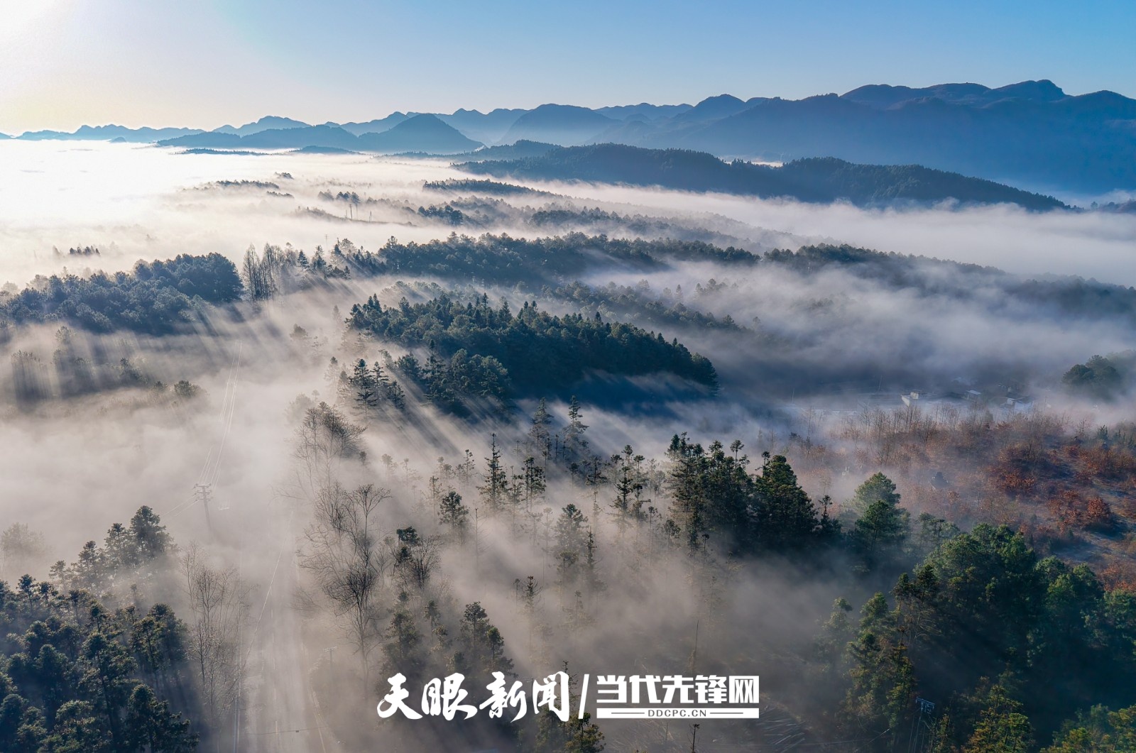 毕节市赫章县城至平山国有林场一带的日出云海美景。.jpg