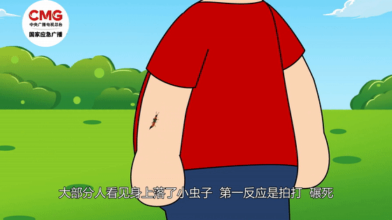4.gif