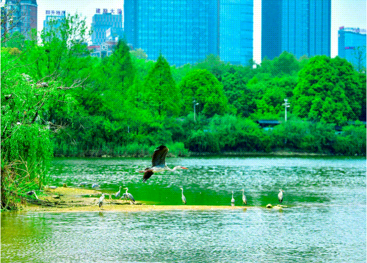 67aa8764640df57eeb103921d4e7f231_17459636848930.gif