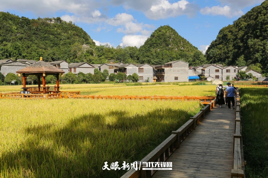 微信截图_20250514210325.png