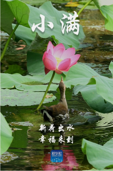 微信截图_20250521075123.png