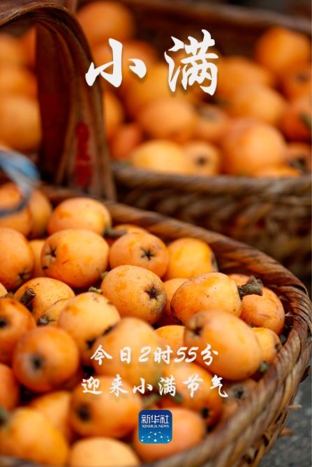 微信截图_20250521075143.png