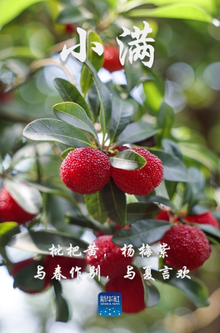 微信截图_20250521075212.png