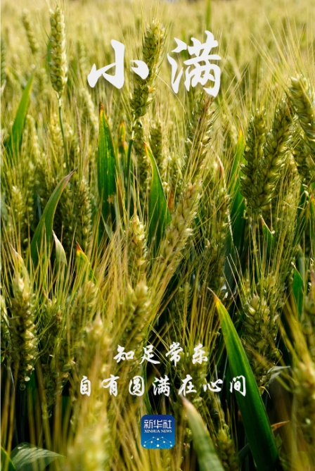 微信截图_20250521075312.png
