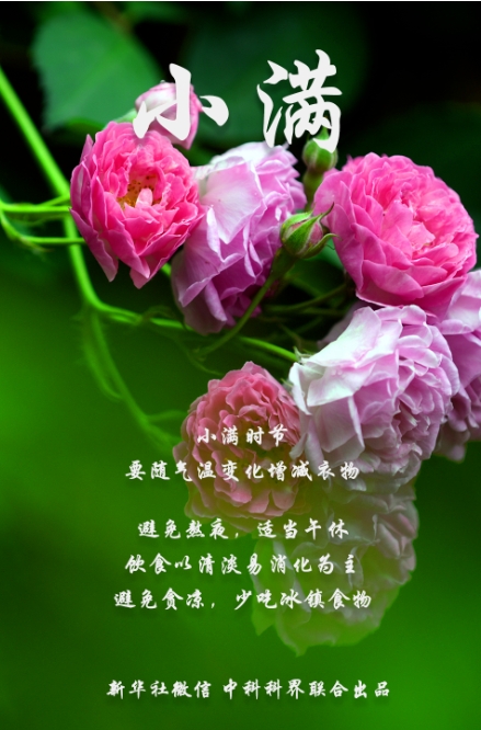 微信截图_20250521075344.png