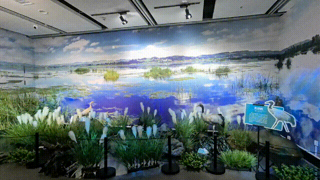 DJI_20250521_102048_961_null_video 00_00_00-00_00_30.gif