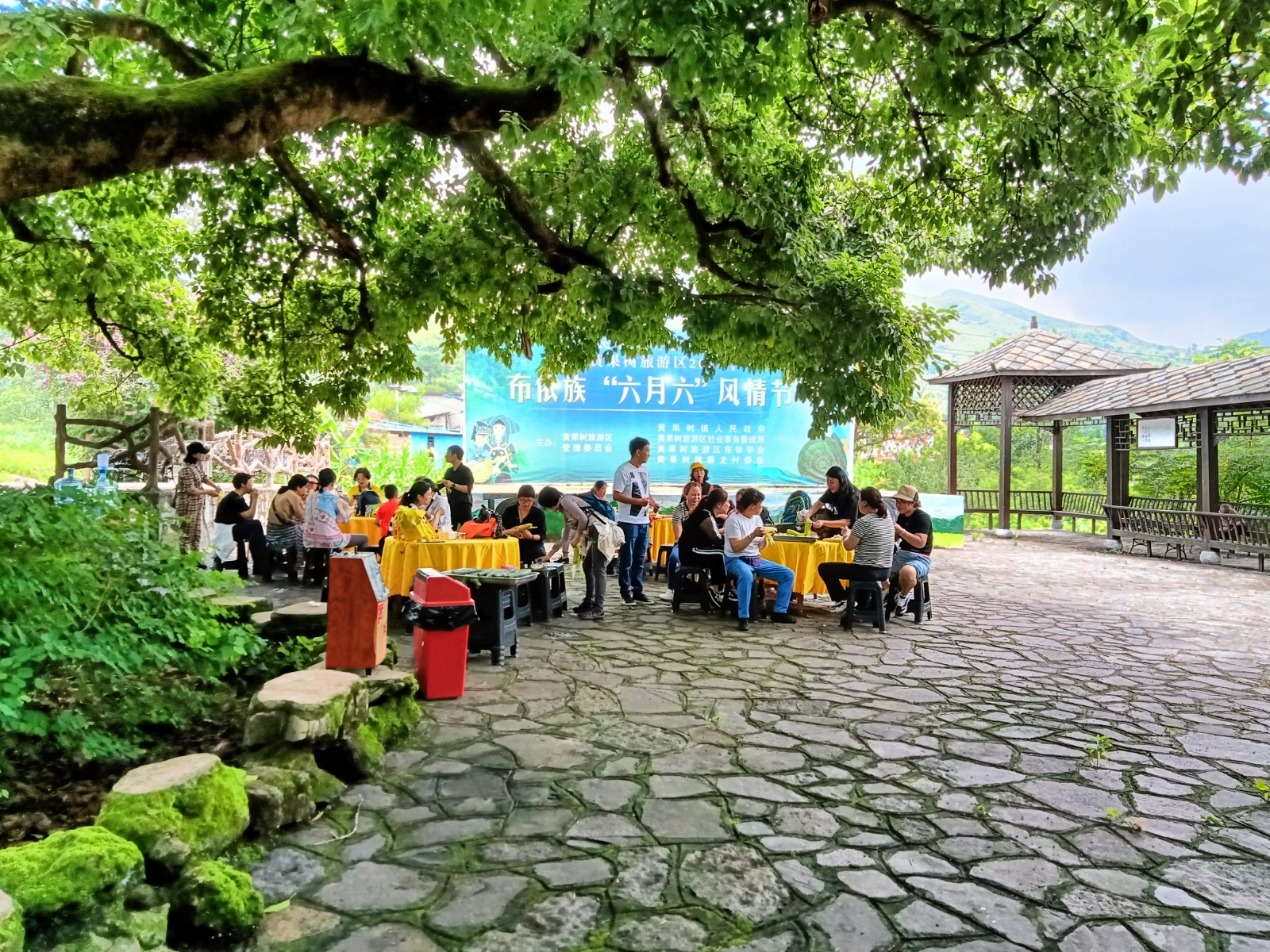 游客在古树下欢庆“六月六”.jpg
