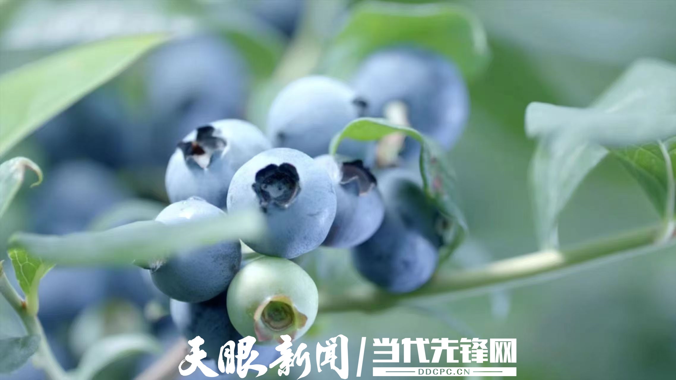 微信图片_20250611225728.jpg