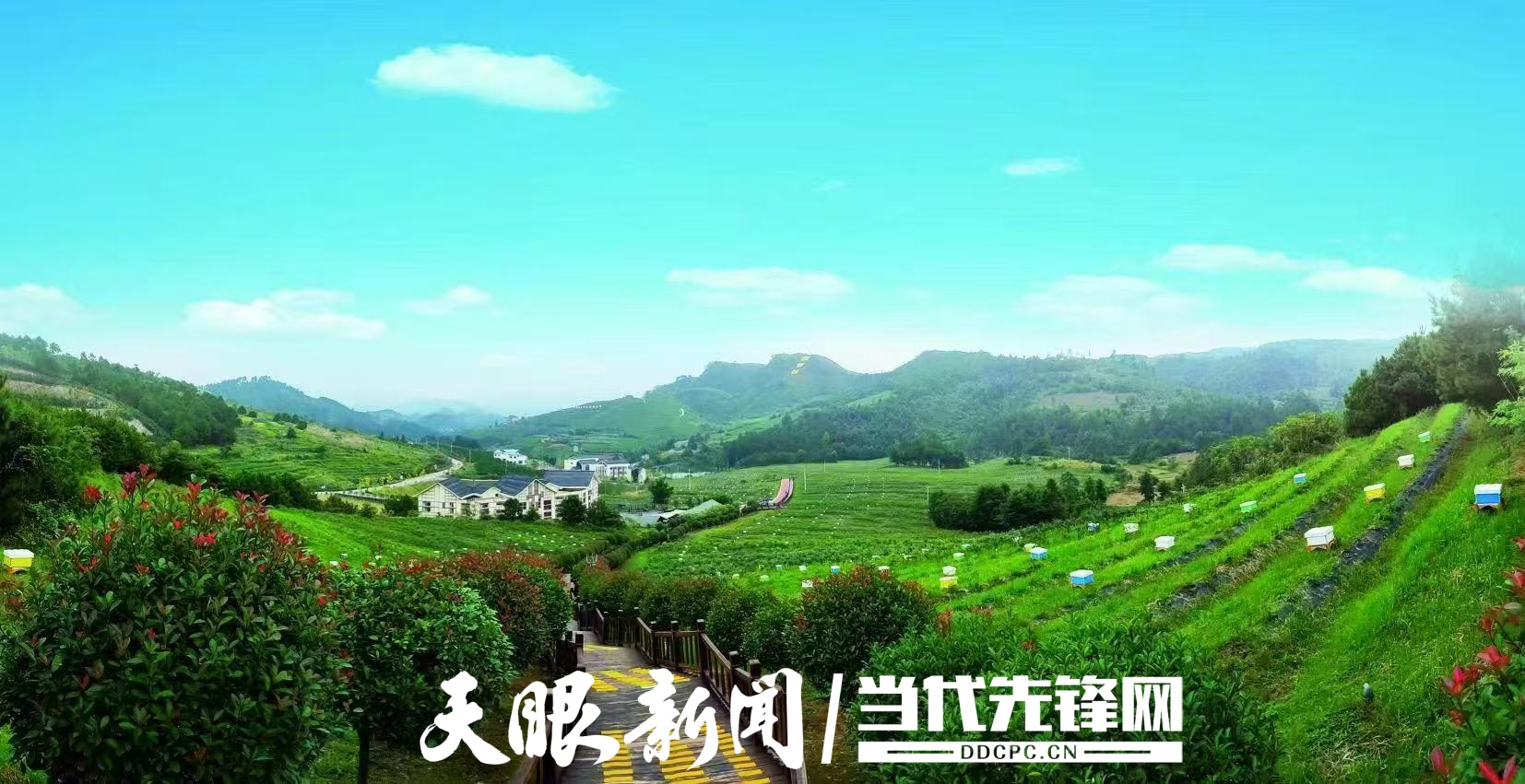 微信图片_20250611225735.jpg