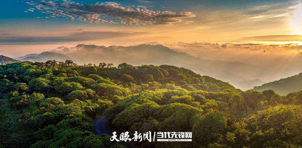 《雷公山日出》／单幅  吴大平.jpg