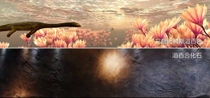 穿越三叠纪3.png