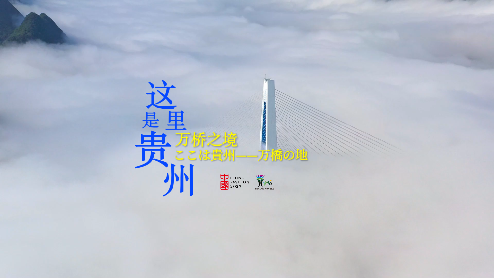 封面图.png