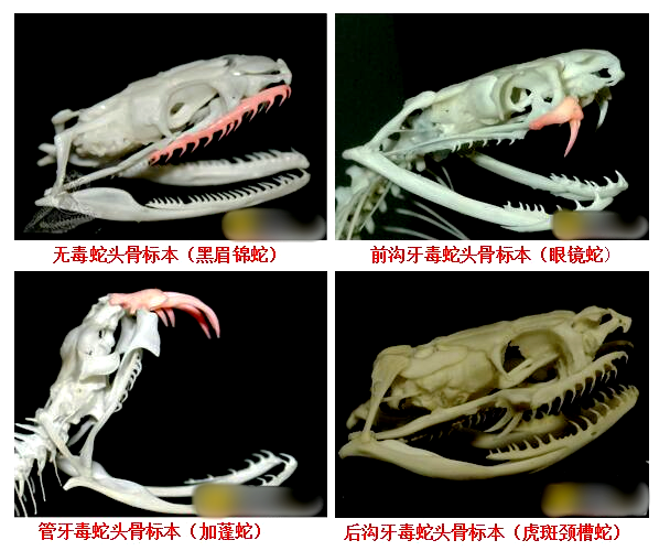 640_副本.png