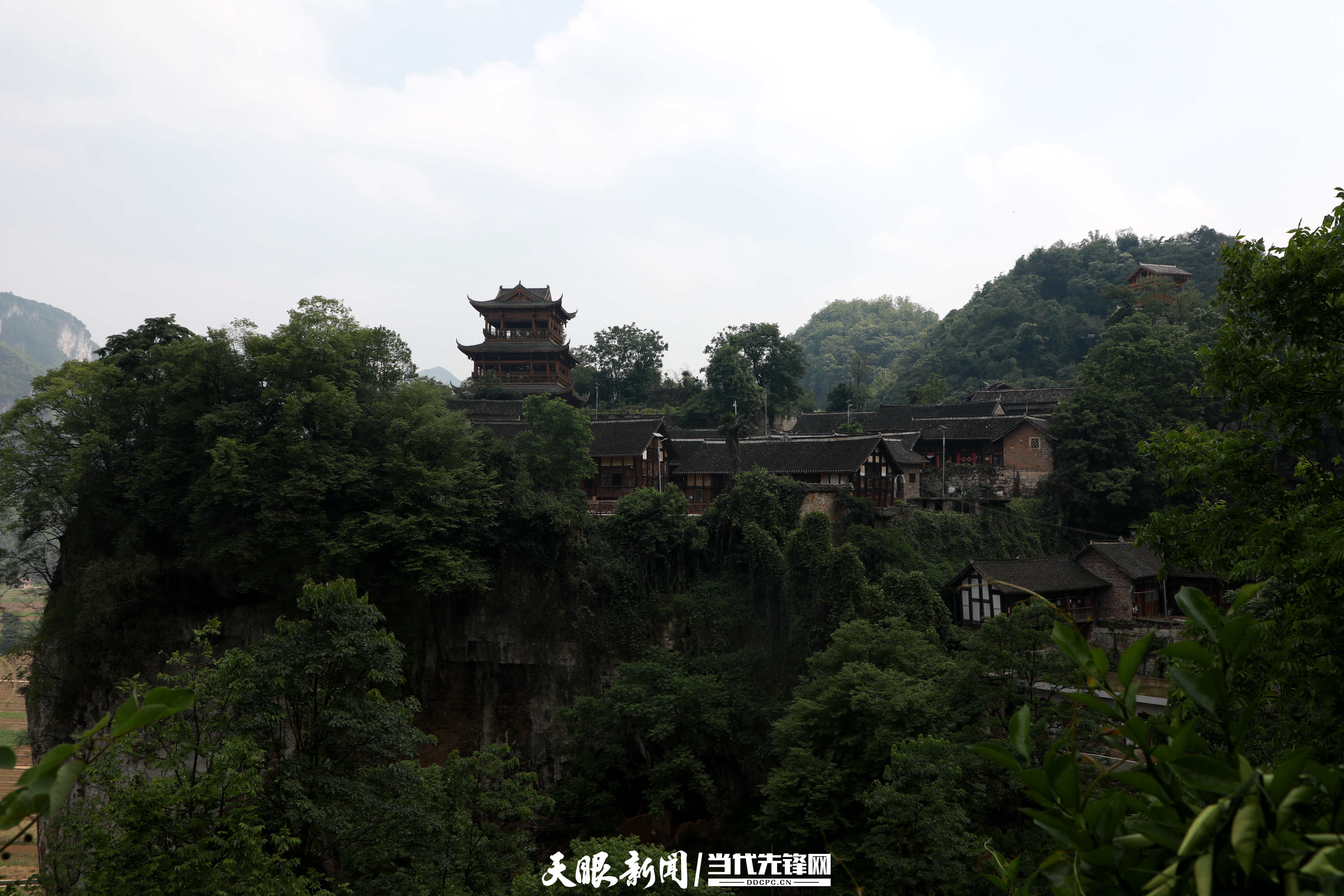 9U4A5539.JPG