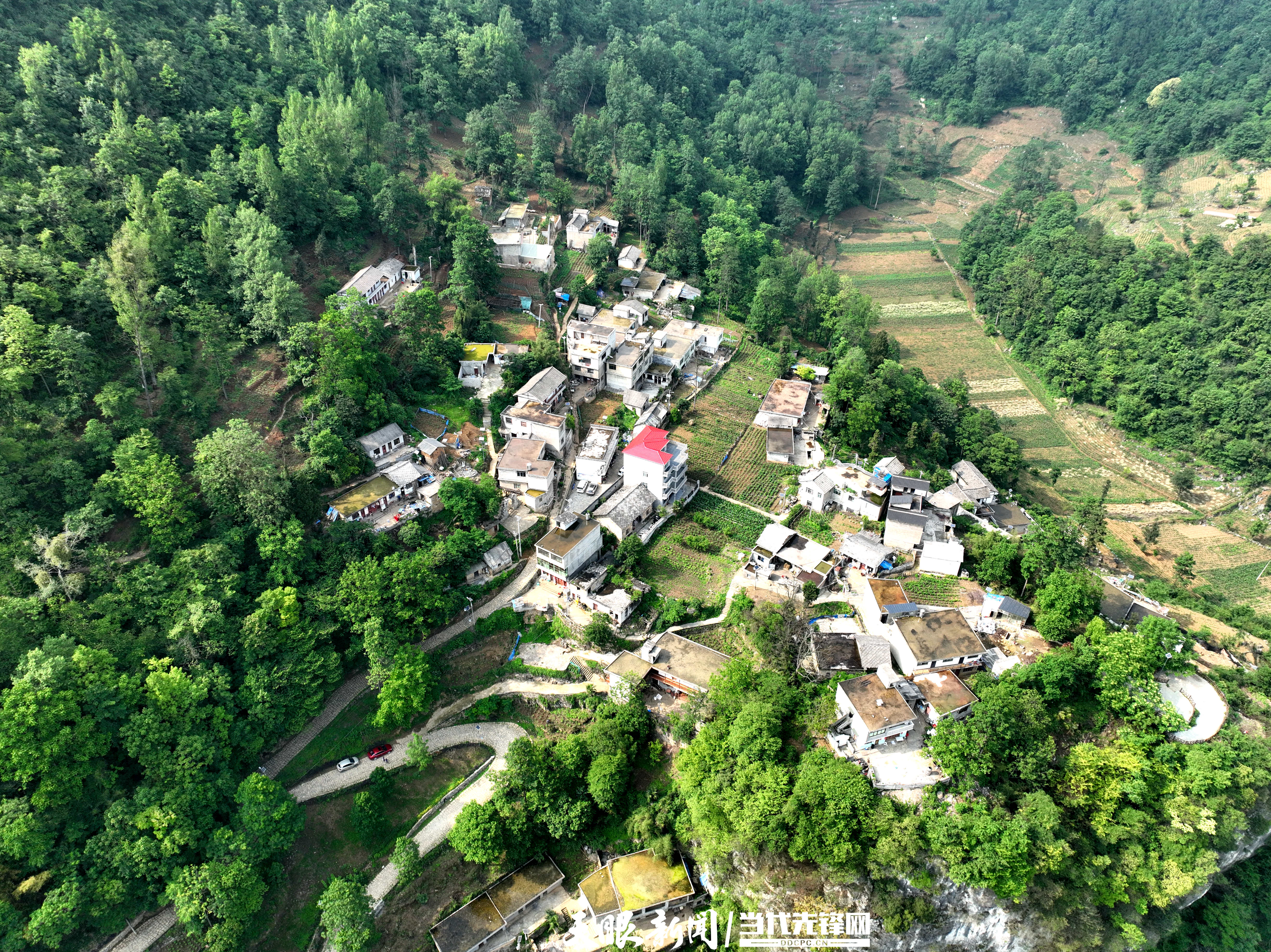 DJI_0315.JPG