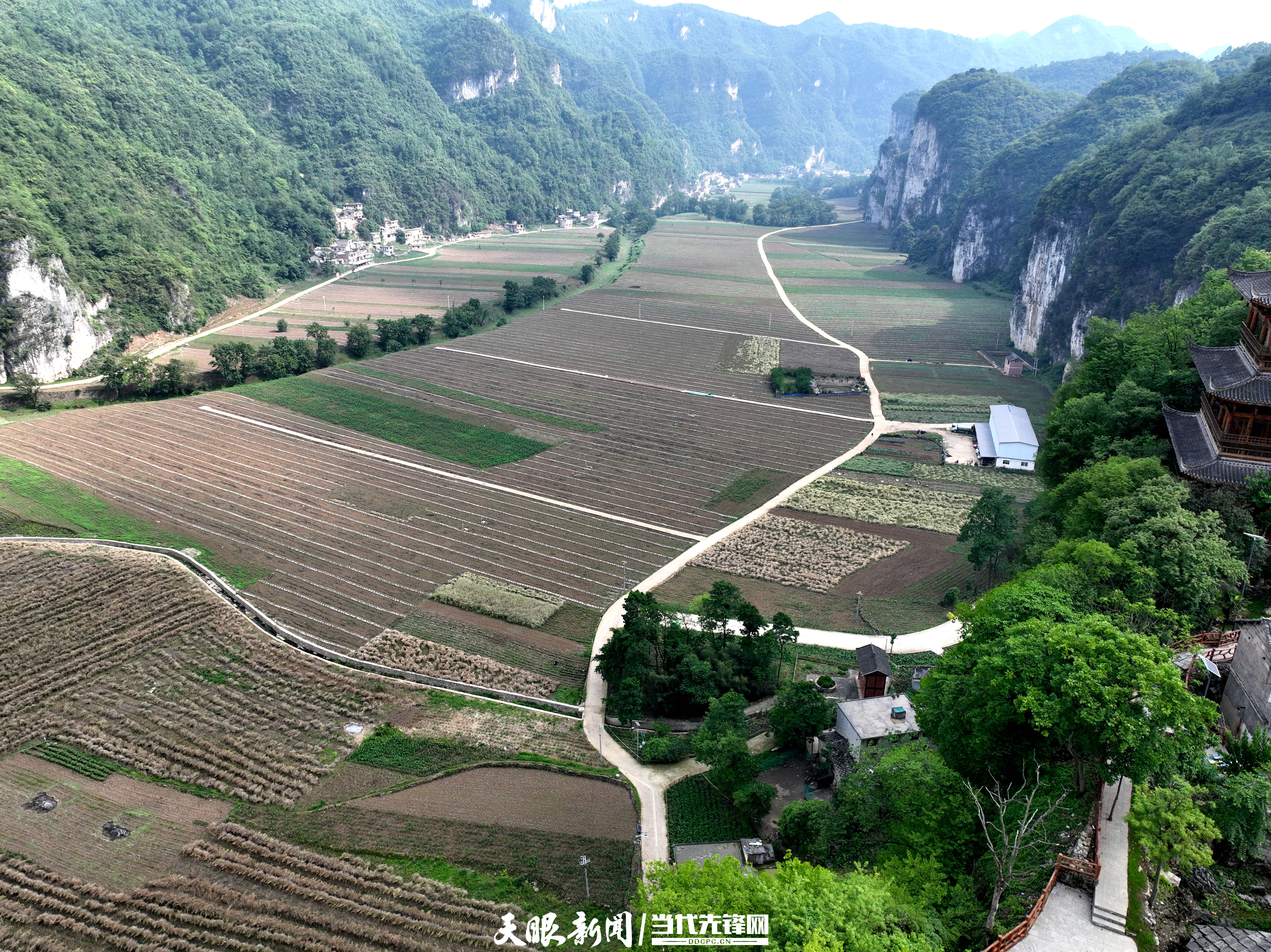 DJI_0300.JPG