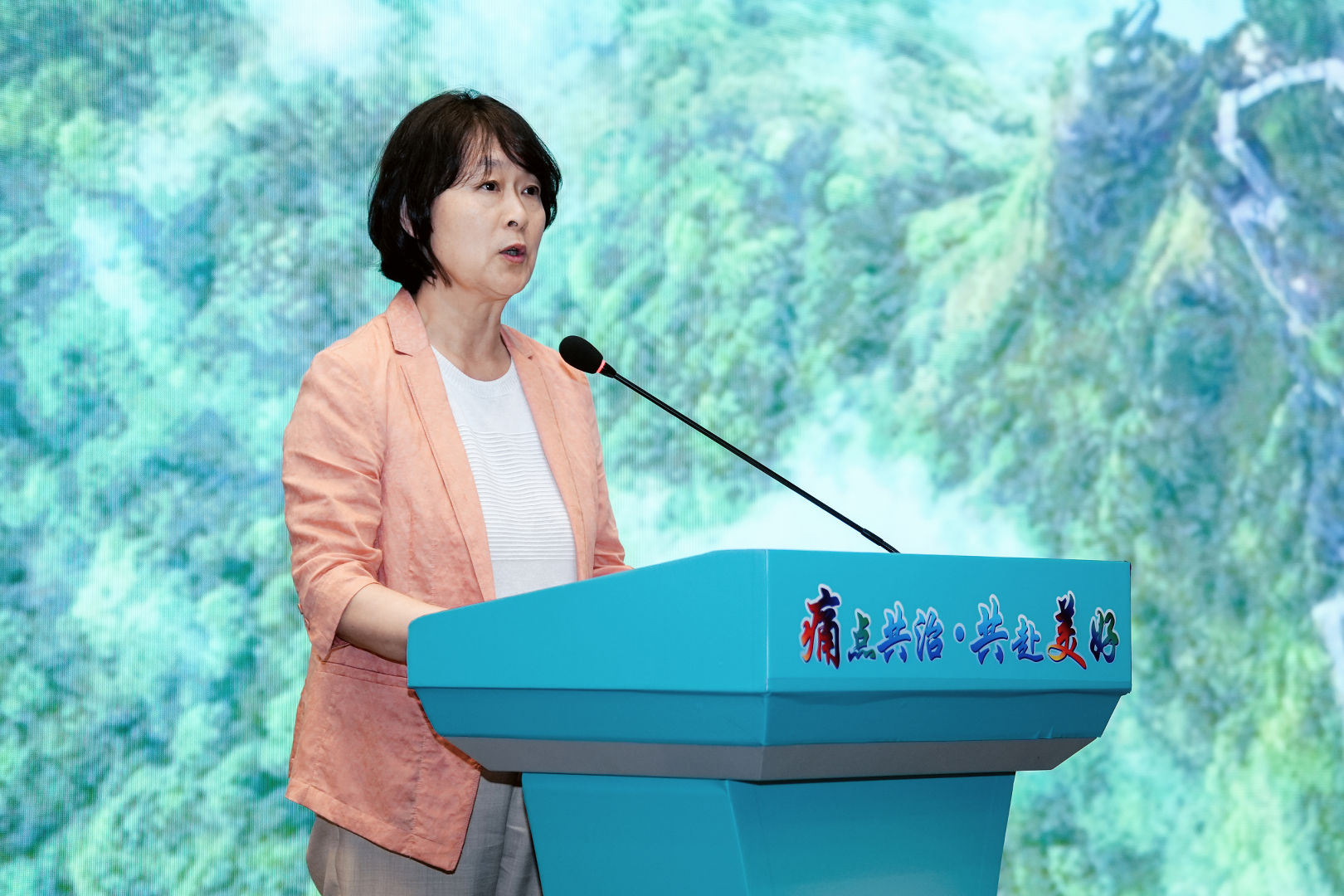 贵州省文化和旅游厅党组成员、副厅长李芳致辞.jpg