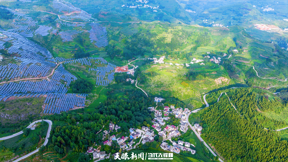 微信图片_20241014135842.png