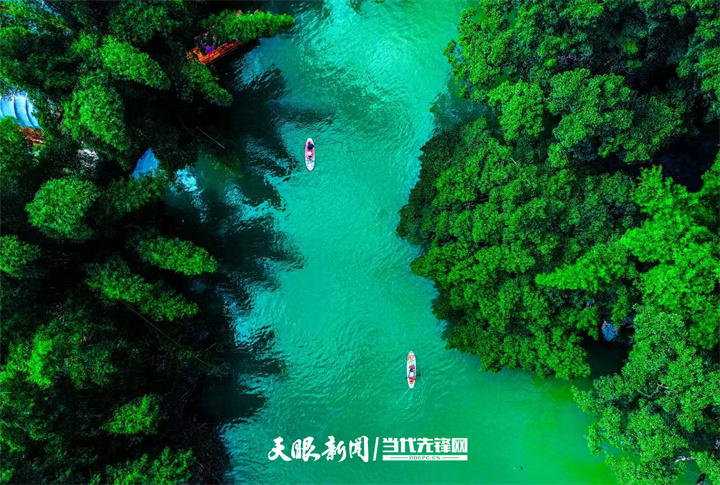 图为游客在罗甸县沫阳镇大井村坝王河上划着浆板，享受着与自然亲密接触的乐趣。罗甸县自然景观丰富多样，拥有63.09%的森林覆盖率和独特的喀斯特地貌。随着生态旅游的兴起，罗甸县的旅游人数逐年增加，这不仅为当地带来了可观的经济收入，也为周边居民提供了更多的就业和发展机会。  贵州日报天眼新闻记者 陈慧 摄.jpg