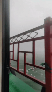 IMG_3351.GIF