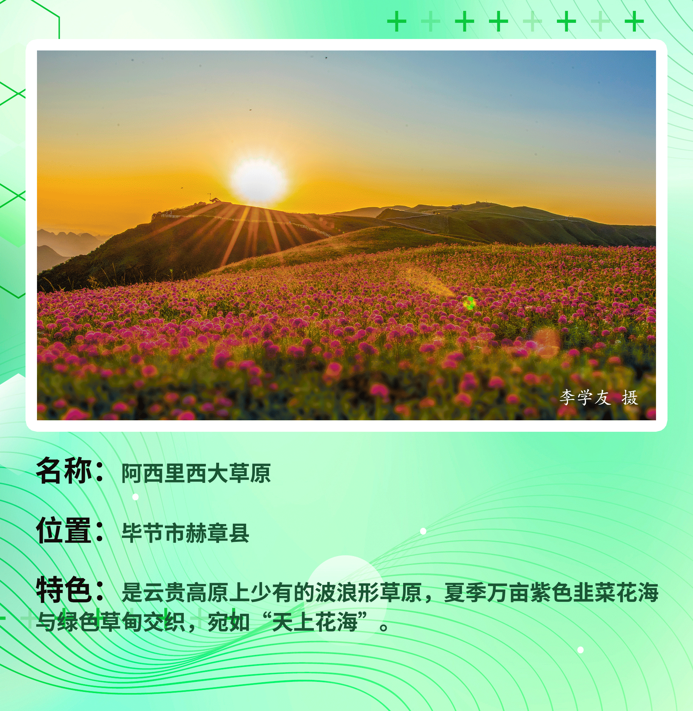 阿西里西.gif