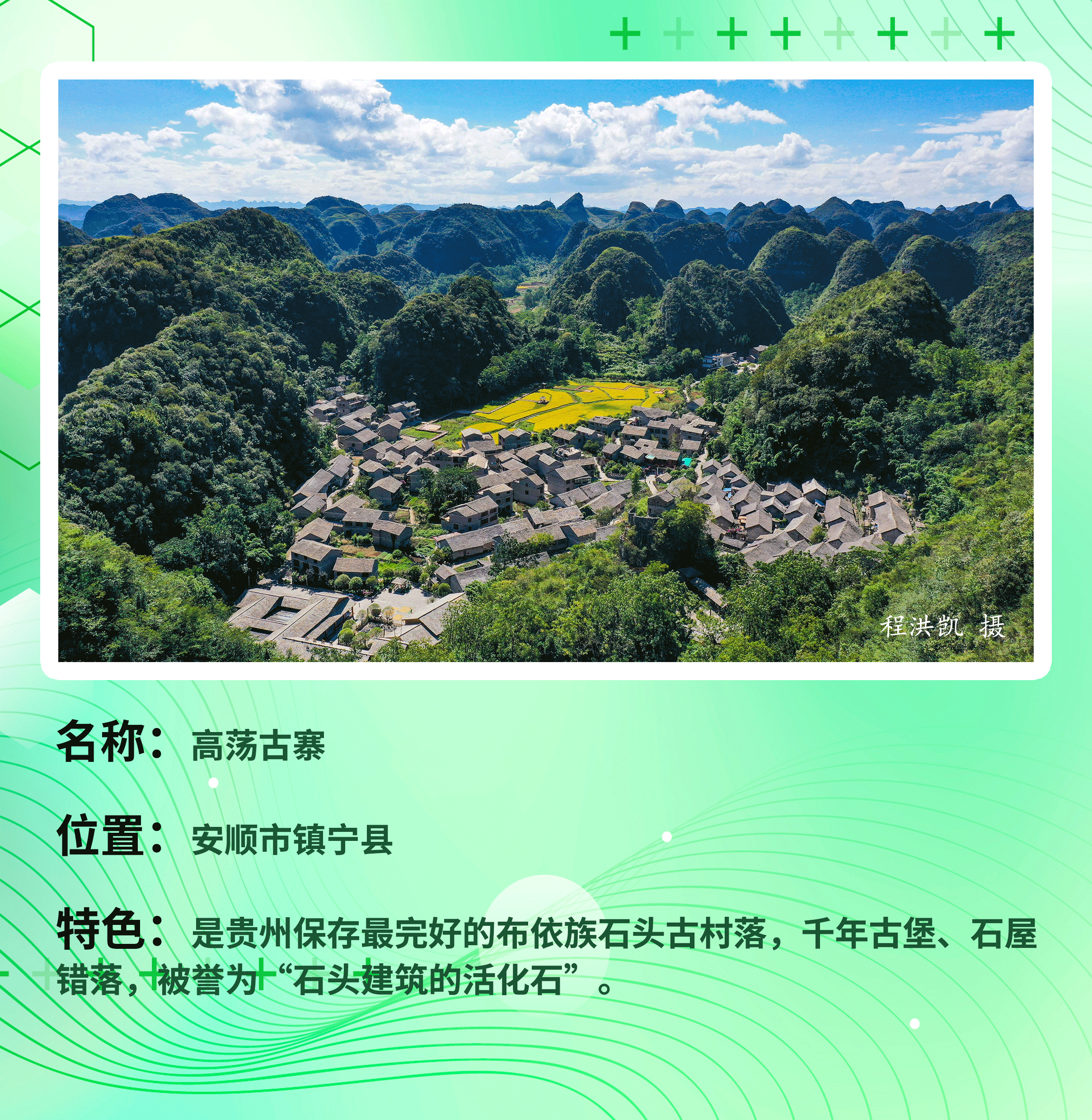 高荡.gif