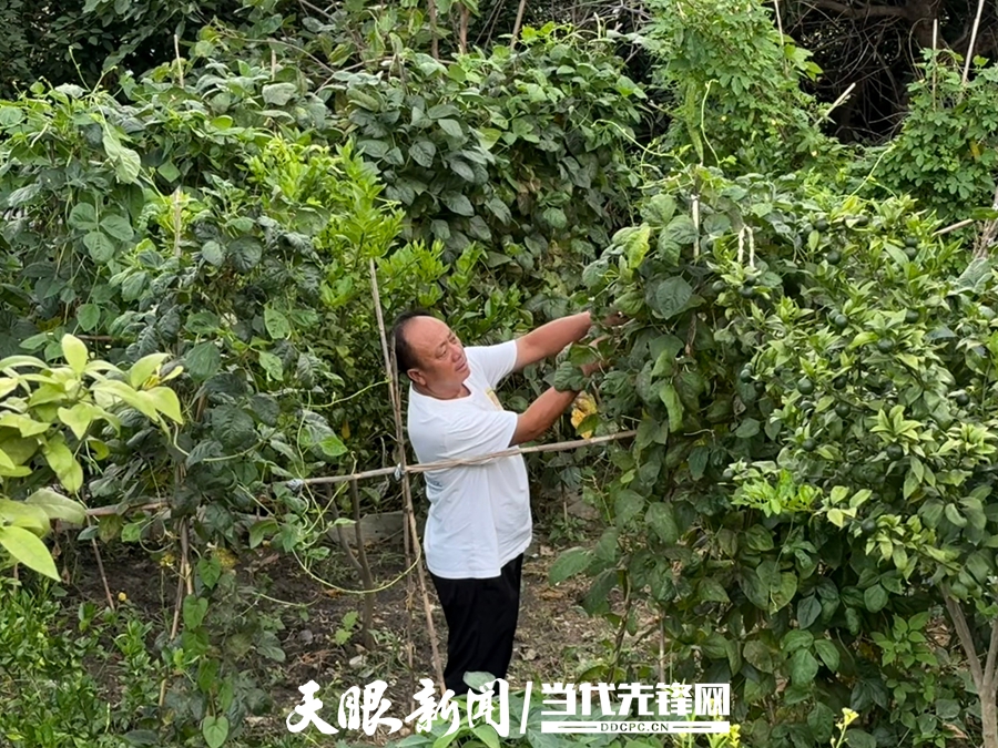 赵孝凡打理家里的院子。.jpg