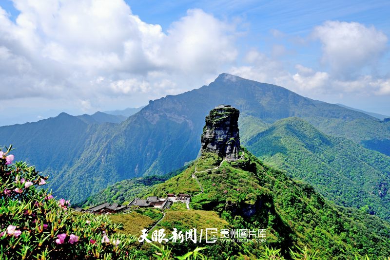 739191-梵净山之春.jpg