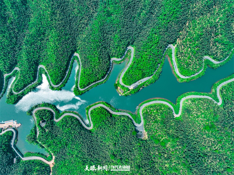 赤水竹海国家森林公园。（杜彪 摄）_副本.jpg