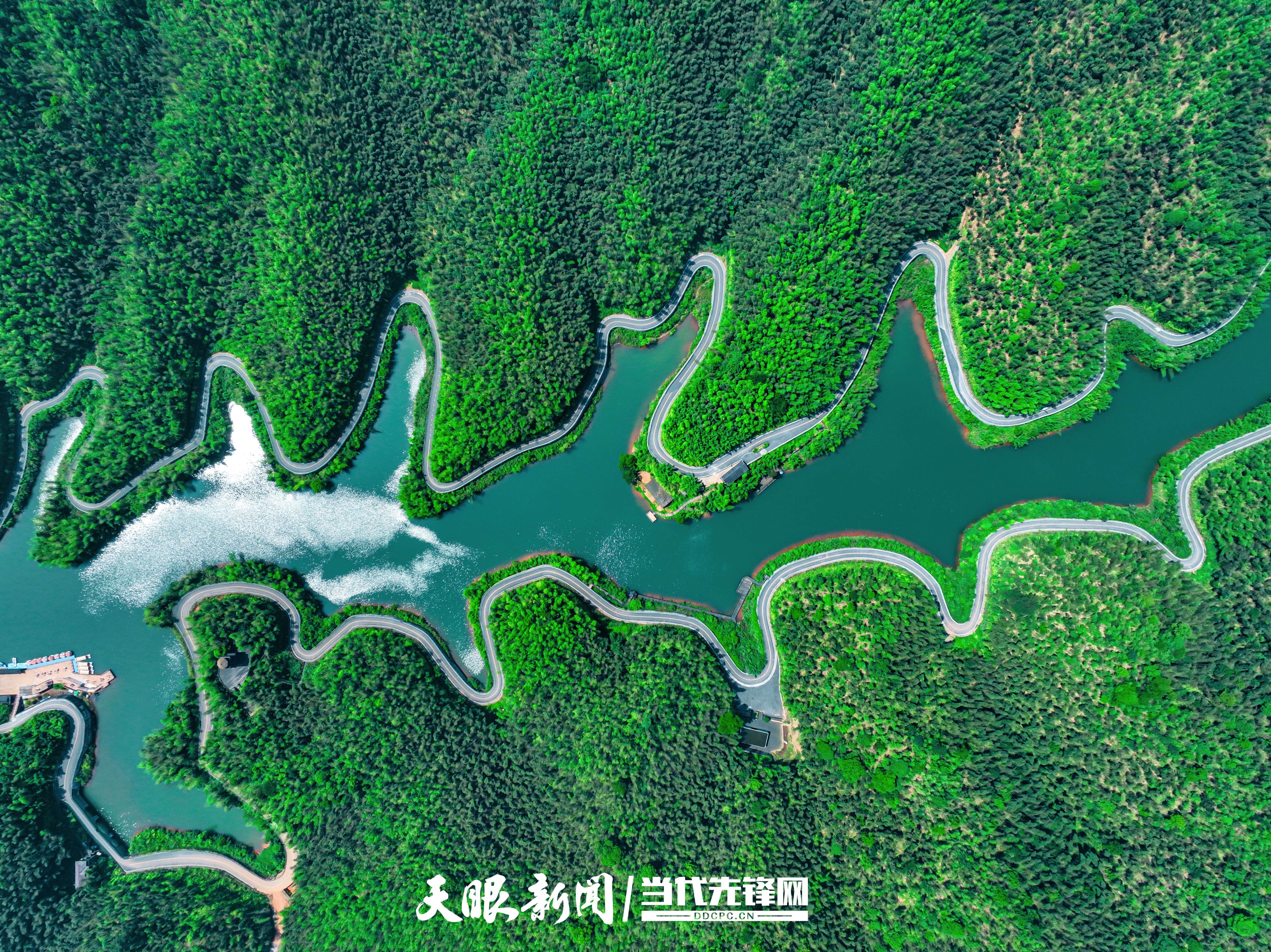 赤水竹海国家森林公园。杜彪 摄.jpg
