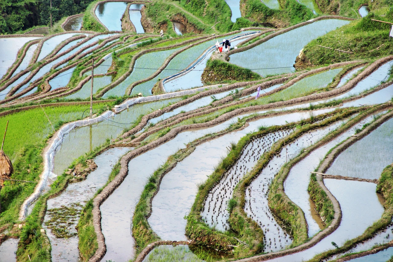加榜梯田.jpg
