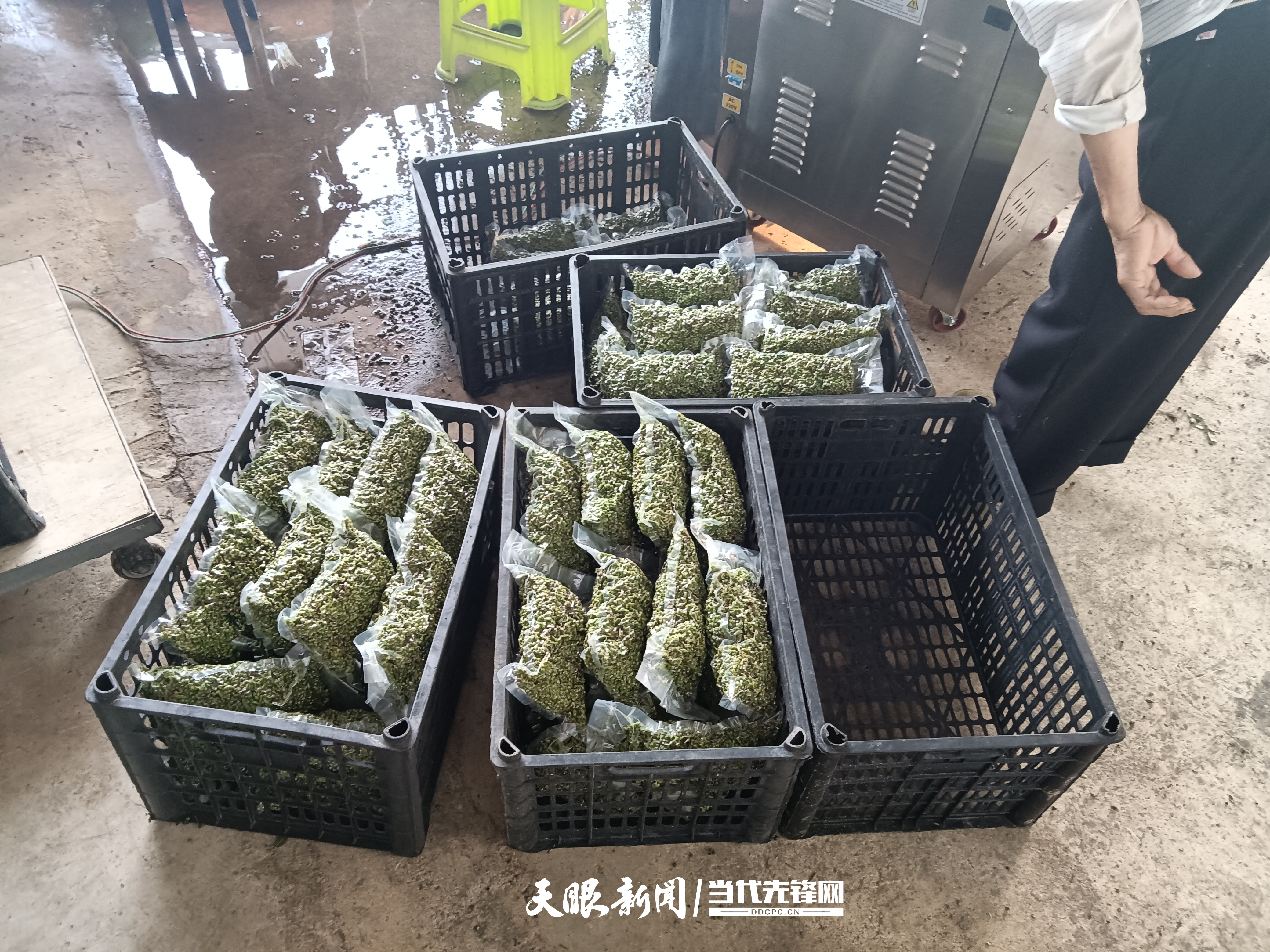 微信图片_20250730080959.jpg