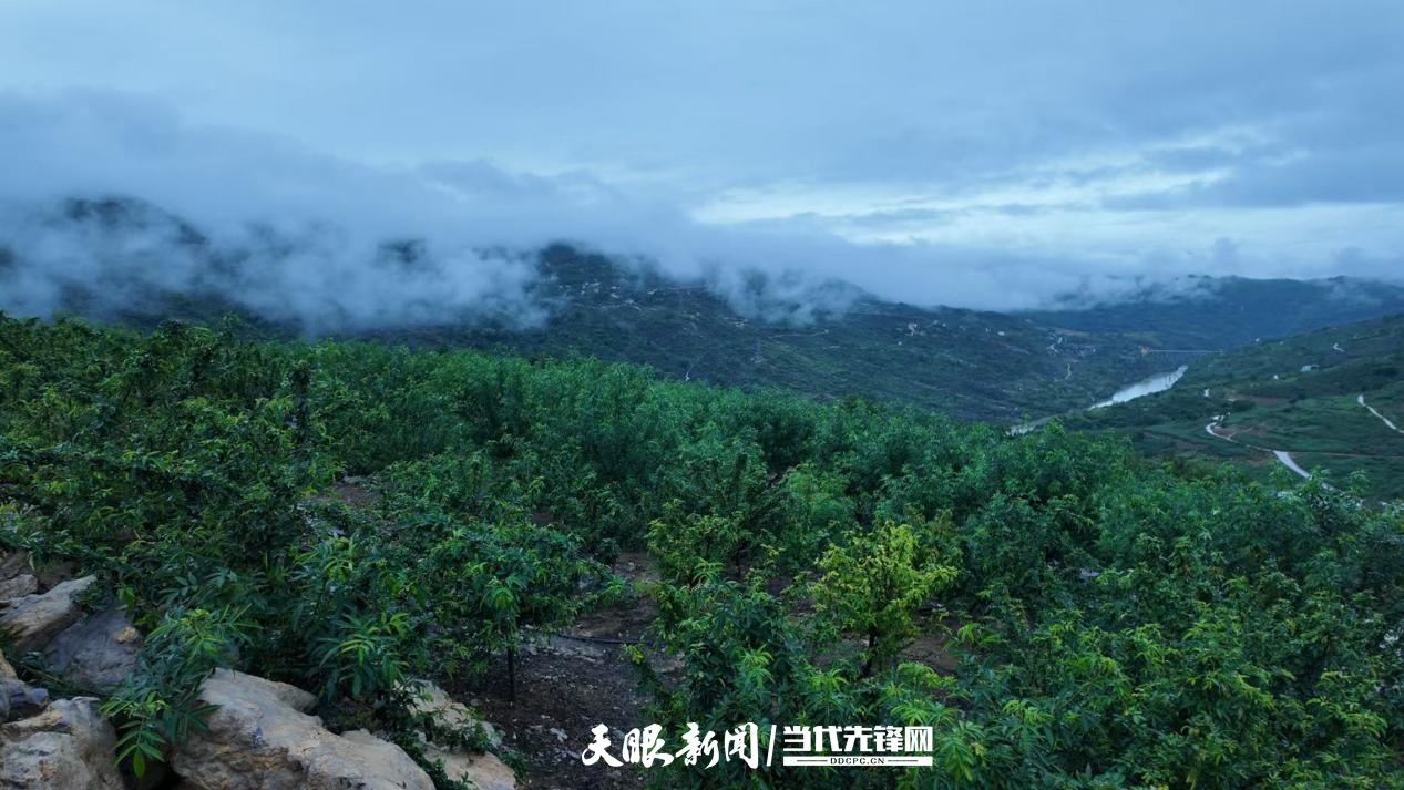 图片6.jpg
