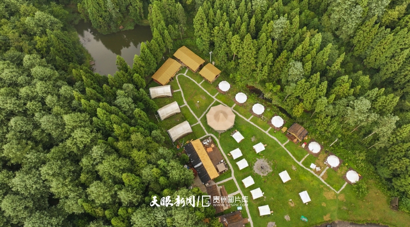 901117-2025年8月5日，贵州省六盘水市水城区星空露营基地，各种露营的帐篷点缀于森林中，美如画卷。(1).jpg